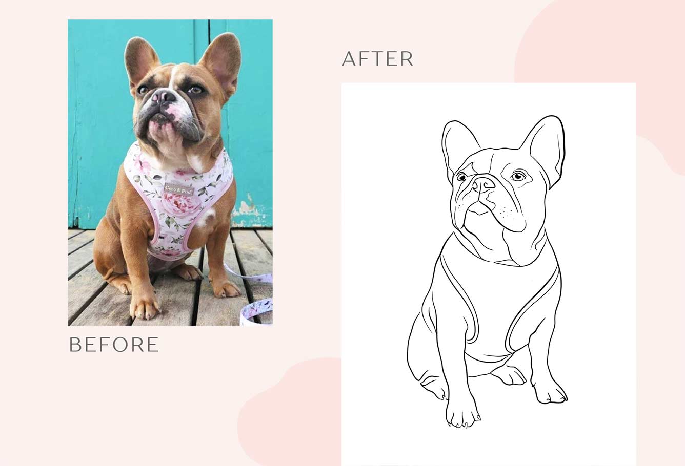 Custom pet portrait painting transformation. Before and after. Illustration from photo comparison.
